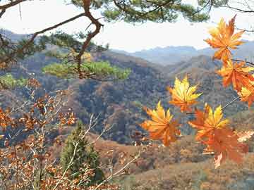 澳彩全年历史图库0085,吴京车坏在高速路上 没赶上比赛