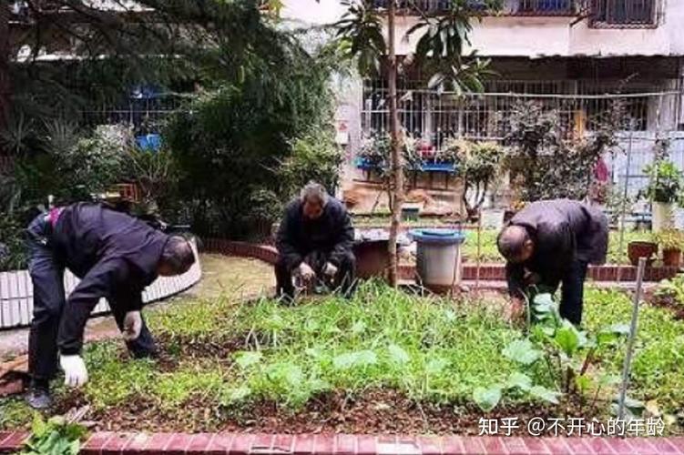新澳门2025年开奖记录和老人上树摘枇杷被困与爬树摘枇杷