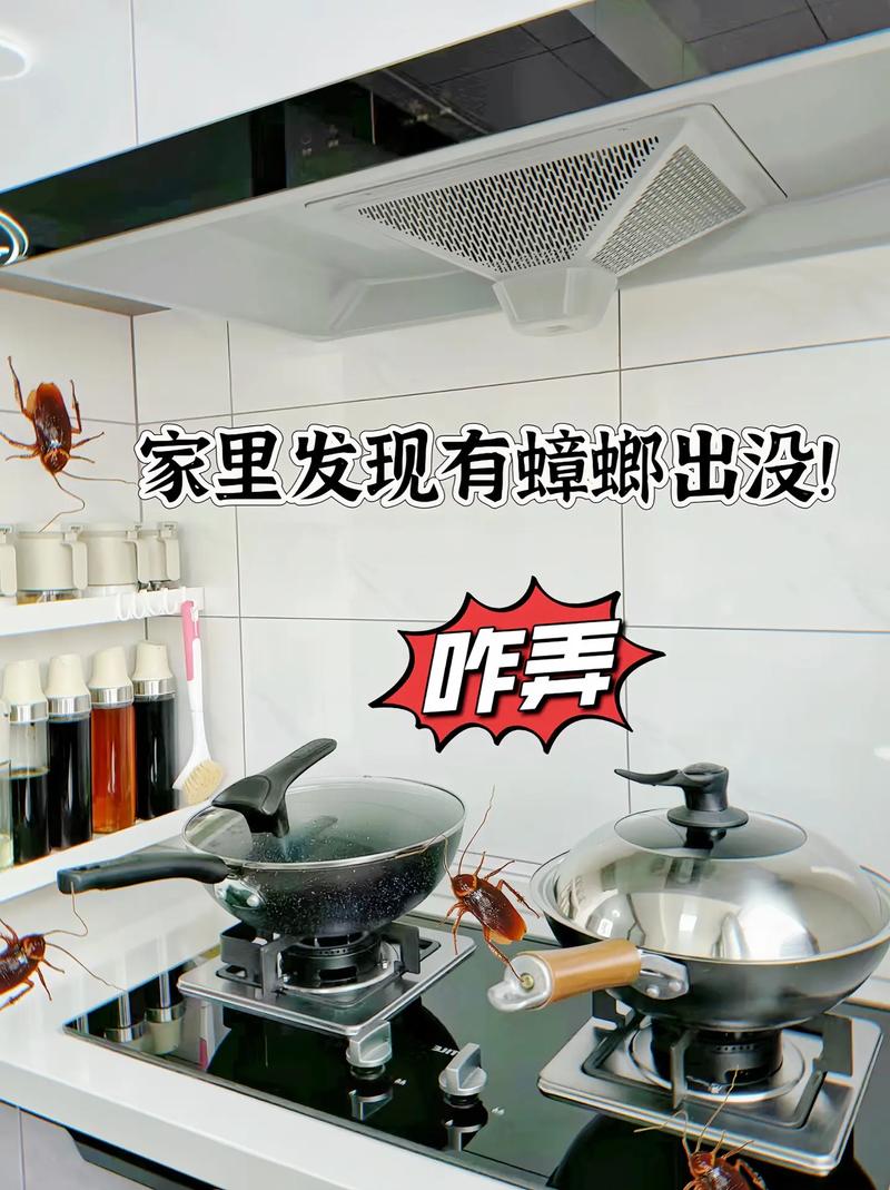 澳门今晚开什么号和酒店早餐吃出蒸蟑螂与酒店早餐吃出蒸蟑螂怎么赔偿