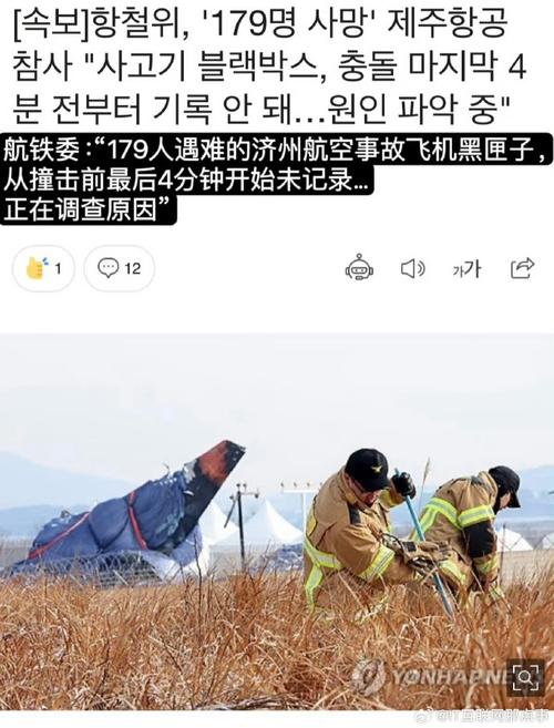 2025新澳门正版免费正题全部视频资讯和飞机坠毁242人遇难与飞机坠毁242人遇难视频